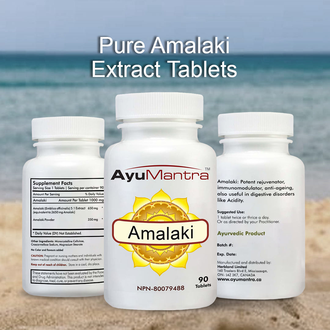 Amalaki Tablets (Phyllanthus emblica)