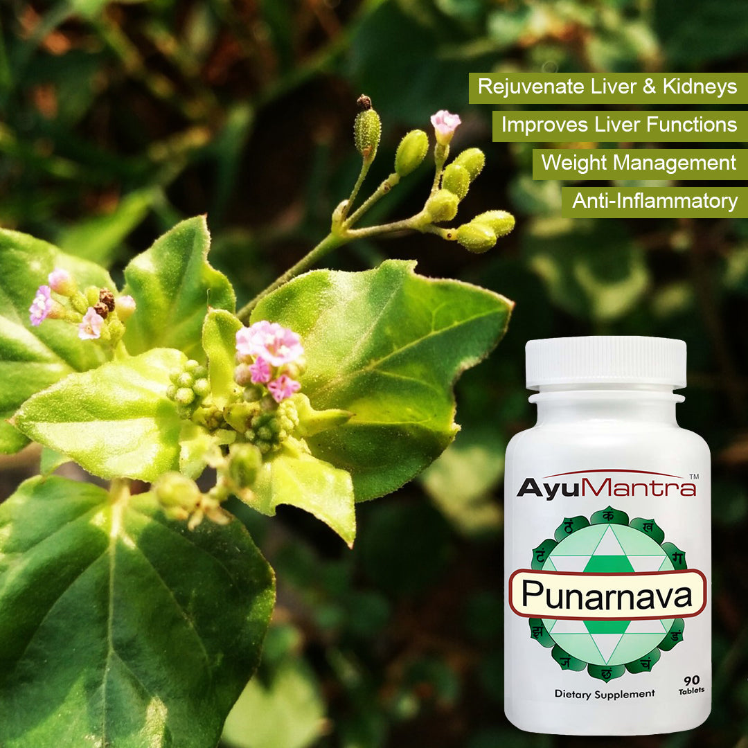 Punarnava Tablets(Boerhavia diffusa)