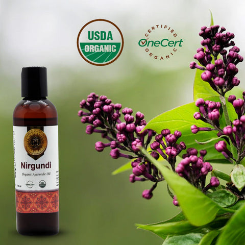 Nirgundi Oil (Vitex Negundo)