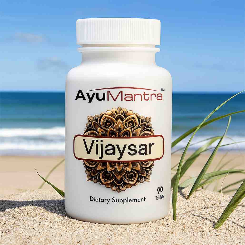 Vijaysar Tablets - 90 Tablets
