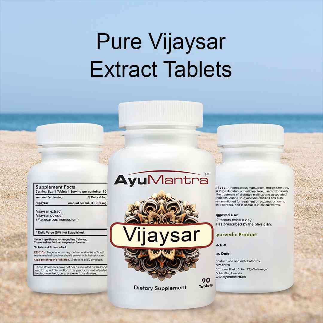 Vijaysar Tablets - 90 Tablets