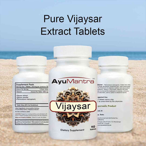 Vijaysar Tablets - 90 Tablets